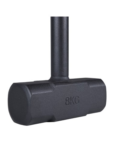 Plieninis kūjis Proud 4-10kg