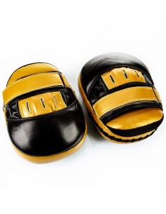 Boxing gloves Mr.Dragon MDFP-510 2