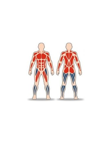 Streetbarbell MB 7.61 - параллельные брусья с перекладиной.