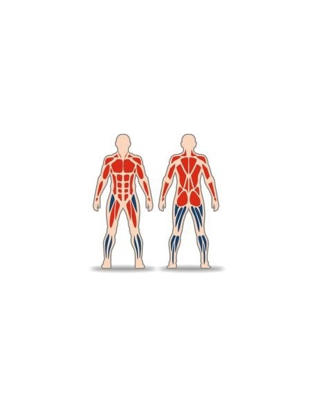 Streetbarbell MB 7.61 - Parallel bars with crossbar