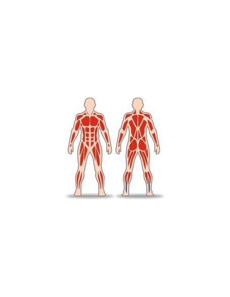 Streetbarbell MB 7.68 - Многофункциональная штанга с блоком для веса.