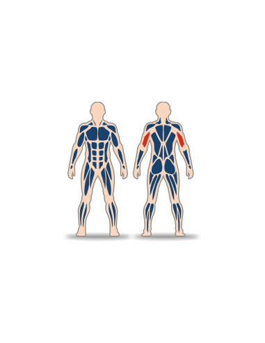 Streetbarbell MB 7.69 - Вертикальная тяга с блоком для веса