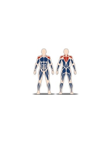 Streetbarbell MB 7.32 - Standing Reverse Butterfly with Weight Block