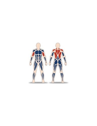 Streetbarbell MB 7.37 - Back pull with weight block