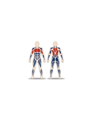 Streetbarbell MB 7.38 - Тяга штанги к спине