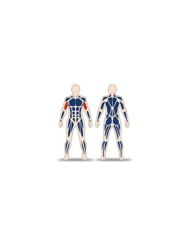 Streetbarbell MB 7.39 - Standing Biceps with a Weight Block