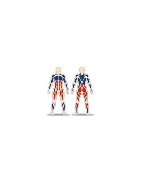 Streetbarbell MB 7.40 - Squats with a weight block