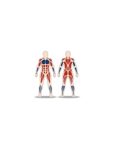 Streetbarbell MB 7.41 - Deadlift with weight block