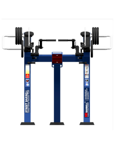 Streetbarbell MB 7.42 - Standing Triceps with a weight block