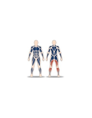 Streetbarbell MB 7.43 - Standing leg curl with a weight block