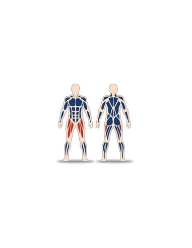 Streetbarbell MB 7.44 - Standing leg extension with a weight block