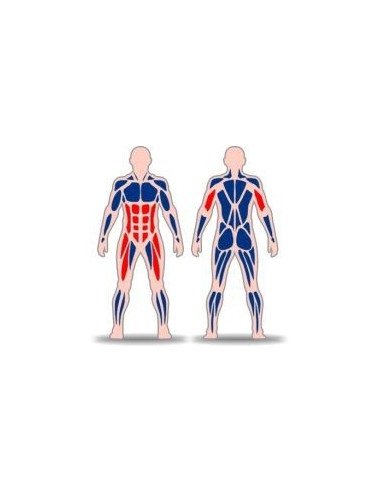 Streetbarbell MB 7.46 - Тяга штанги в вертикальном положении стоя