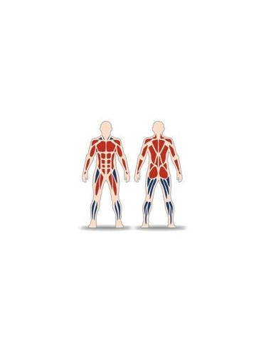 Streetbarbell MB 7.47 - "Street workout" with weights