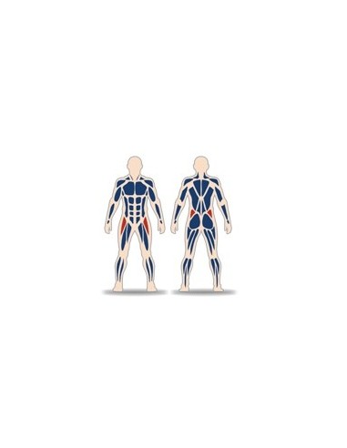 Streetbarbell MB 7.49 - Разгибание ног стоя с использованием блока веса