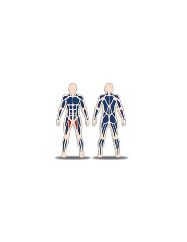 Treniruoklis Streetbarbell MB 7.50 - Kojų glaudimas stovint su svorių bloku