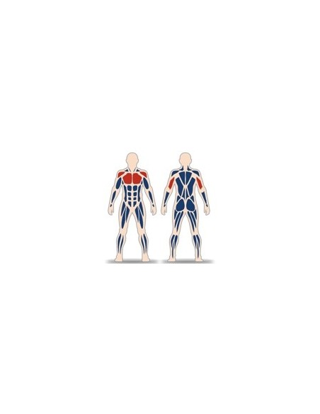 Treniruoklis Streetbarbell MB 7.52 - Krūtinės presas stovint su svorių bloku