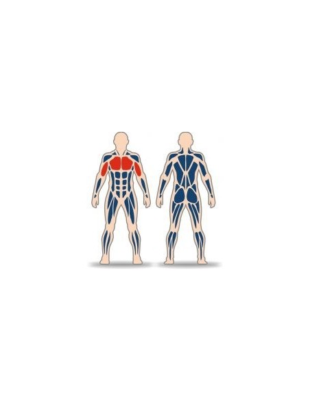 Streetbarbell MB 7.31.3 - Seated butterfly with a weight block