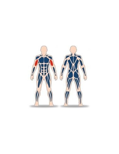 Streetbarbell MB 7.39.3 - Бицепсы сидя с блоком для веса