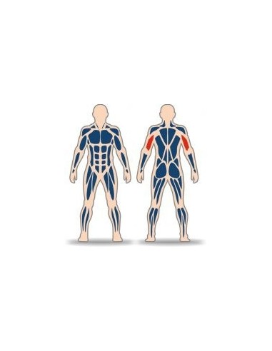 Streetbarbell MB 7.42.3 - Seated Triceps with a weight block
