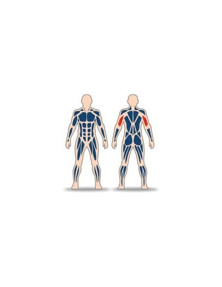 Streetbarbell MB 7.42.3 - Seated Triceps with a weight block