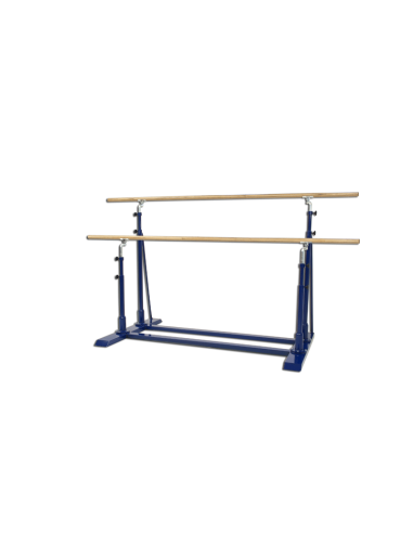 Asymmetric parallel bars Sport system