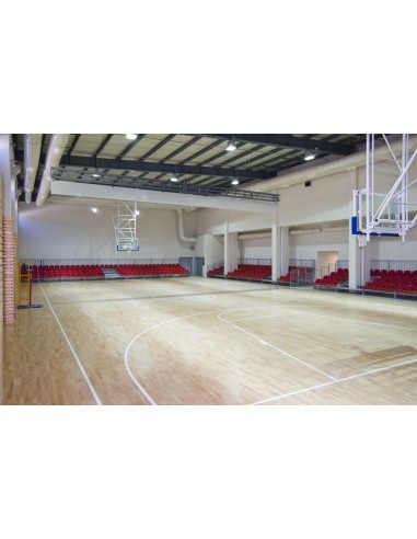 DPE skaidraus tinklelio skiriamoji užailaida (elektrinė)