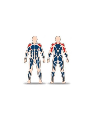 Streetbarbell MB 7.63 - Жим штанги над головой с блоком для веса