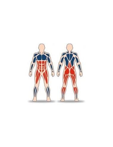 Streetbarbell MB 7.65 - Squats with a weight block