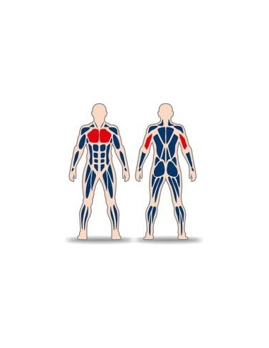 Streetbarbell MB 7.67 - Seated Triceps with a weight block