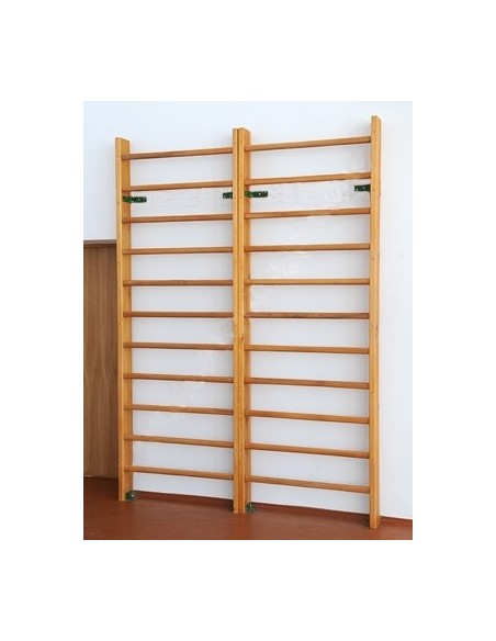 Gimnastikos sienelė