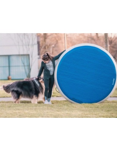 Airtrack Spot wheel Ø140cm