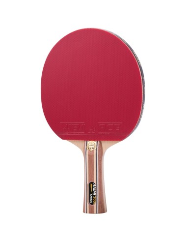 Table tennis racket ATEMI 3000