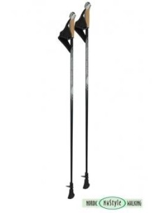 Палки для скандинавской ходьбы NORDIC WALKING, TWIGO SHARP 2
