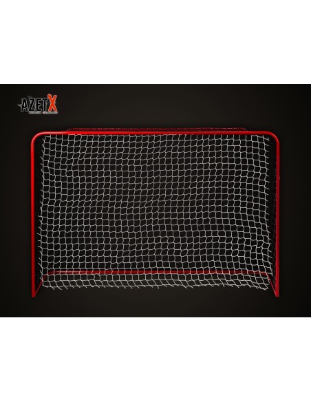 Grindų riedulio vartai AZET X (115x160cm)