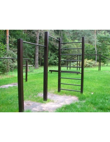 Double crossbar with ladder