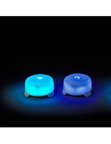 Reakcijos lavinimo lemputės LUMMIC