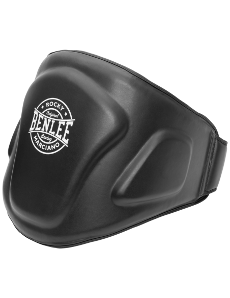 Apsauga pilvui BenLee VENTRI