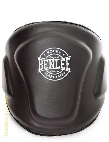 Apsauga pilvui BenLee VENTRI