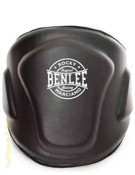 Apsauga pilvui BenLee VENTRI