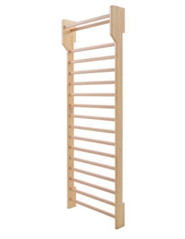 Švediška gimnastikos sienelė 256x90x10cm