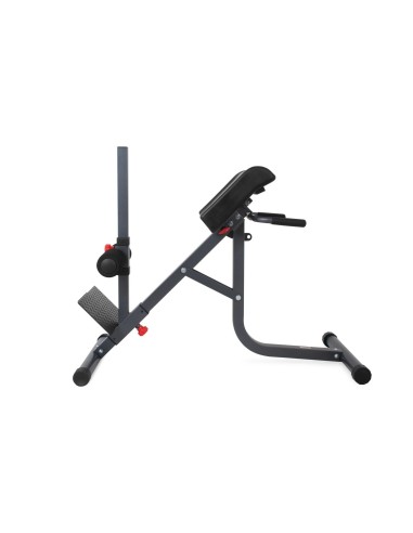 Back Bench BODYCRAFT "F670"