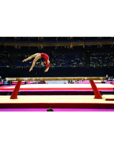 Gimnastikos buomas Gymnova, F.I.G patvirtintas