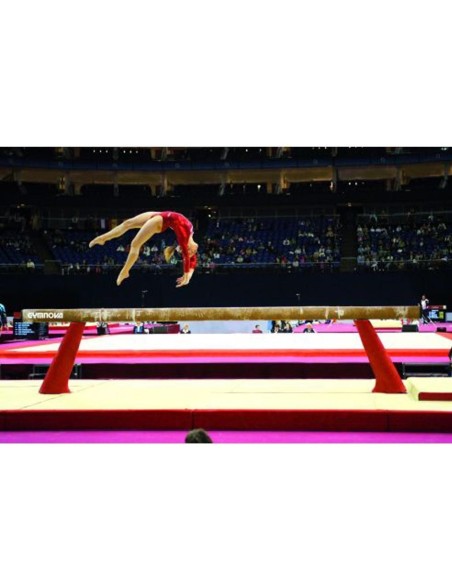 Gymnastics boom GYMNOVA (FIG)