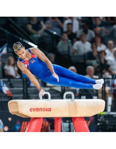 Varžybinis gimnastikos arklys  Gymnova (F.I.G)