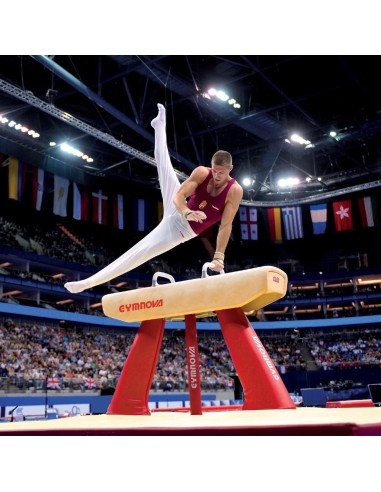 Varžybinis gimnastikos arklys  Gymnova (F.I.G)