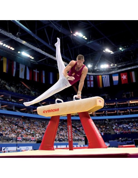 Varžybinis gimnastikos arklys  Gymnova (F.I.G)