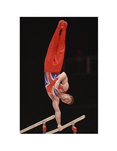 Varžybinės lygiagretės GYMNOVA (F.I.G)