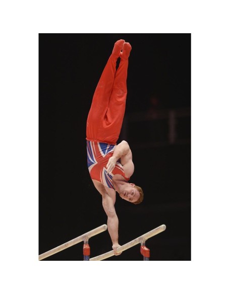 Varžybinės lygiagretės GYMNOVA (F.I.G)