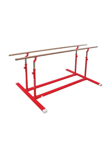 Lygiagretės GYMNOVA 