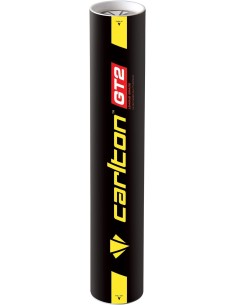 Бадминтонные флайерс CARLTON "GT2" (1 шт.) 2